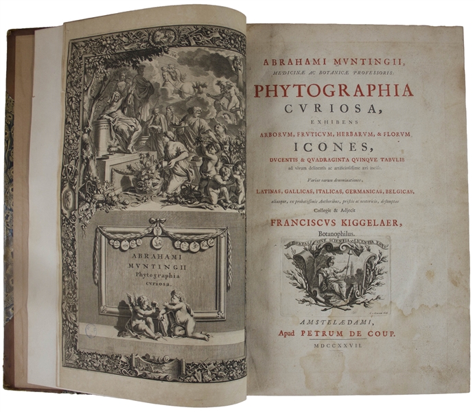 Gorgeous & Important Botanical Book From 1727, ''Phytographia curiosa'' by Abraham Munting -- With 245 Engraved Folio Plates